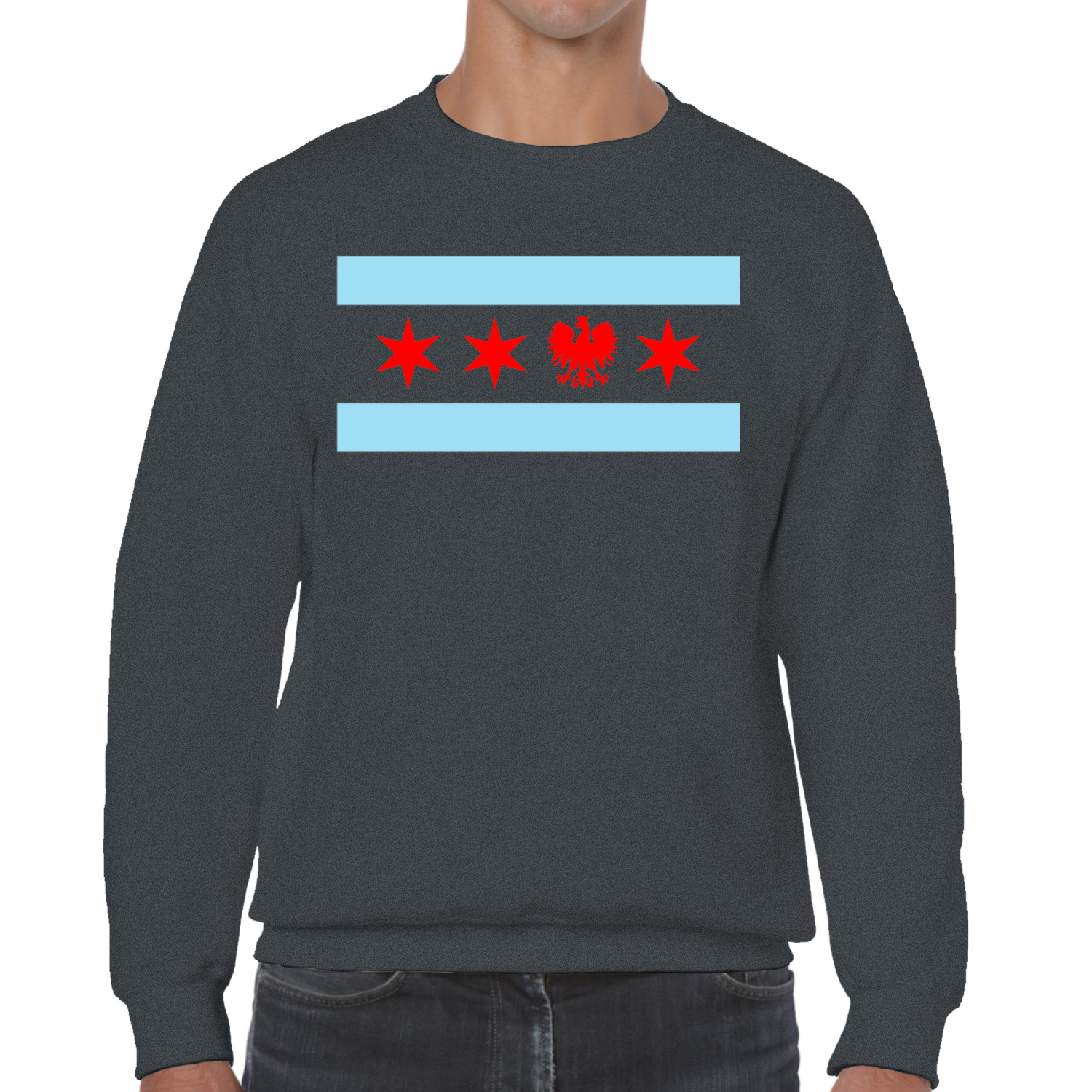 Chicago Flag Single Polish Eagle Sweatshirt