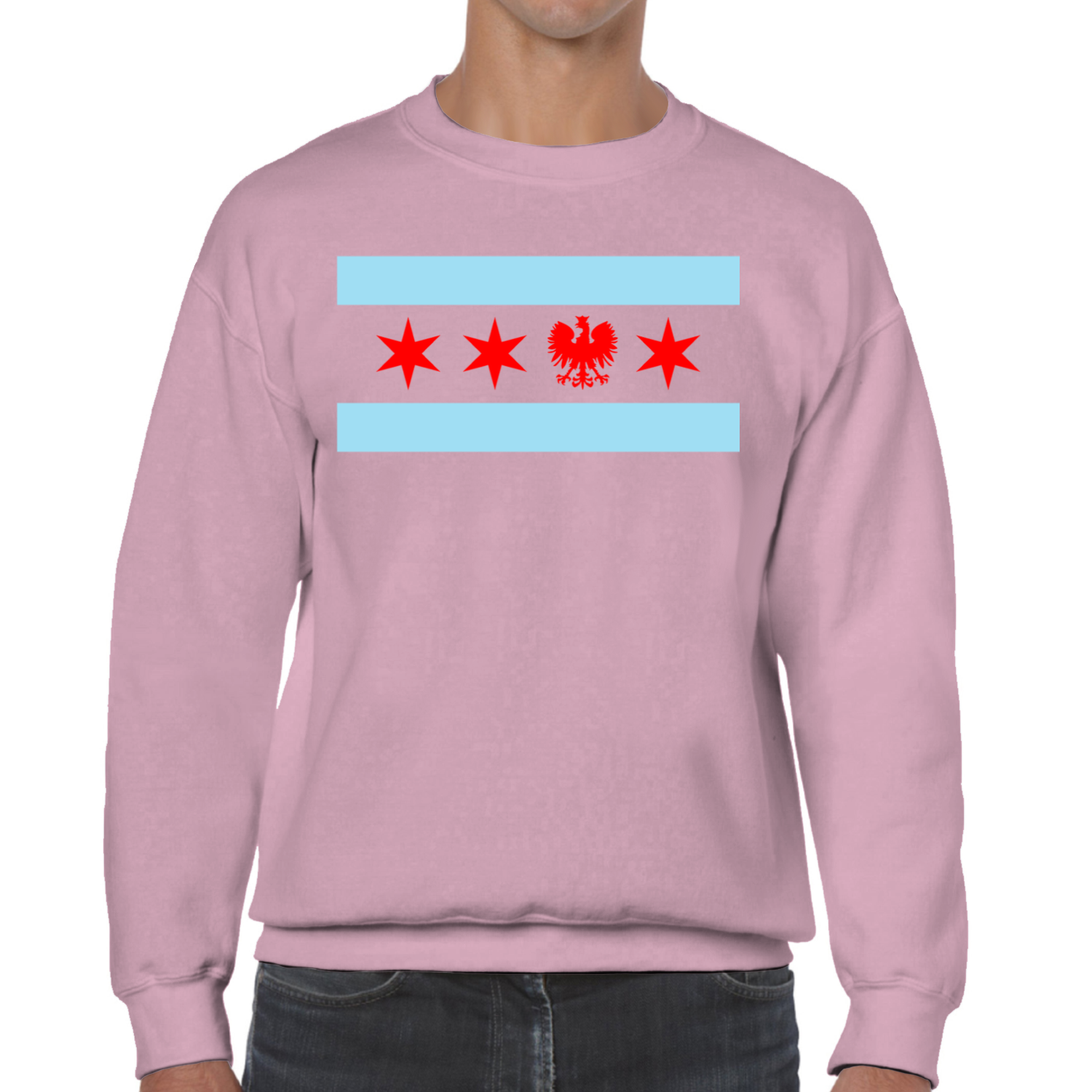 Chicago Flag Single Polish Eagle Sweatshirt