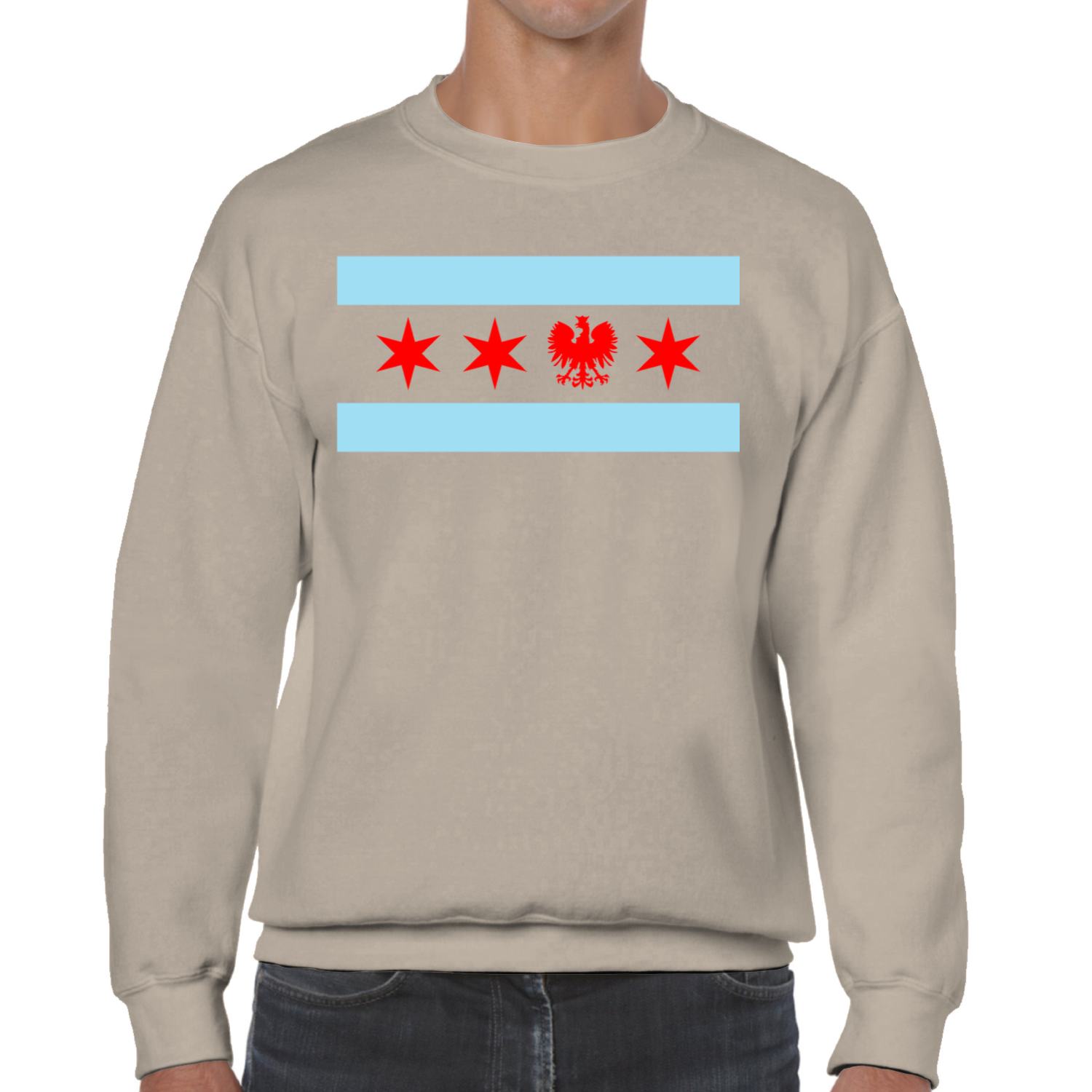 Chicago Flag Single Polish Eagle Sweatshirt