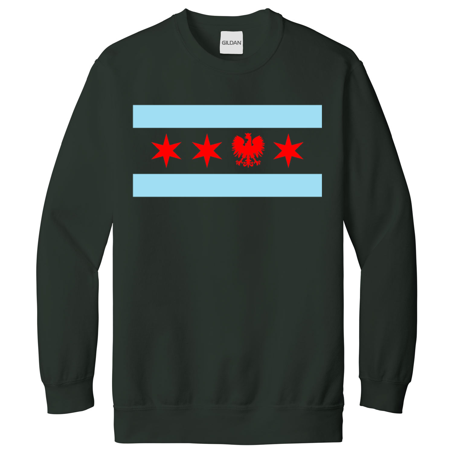 Chicago Flag Single Polish Eagle Sweatshirt