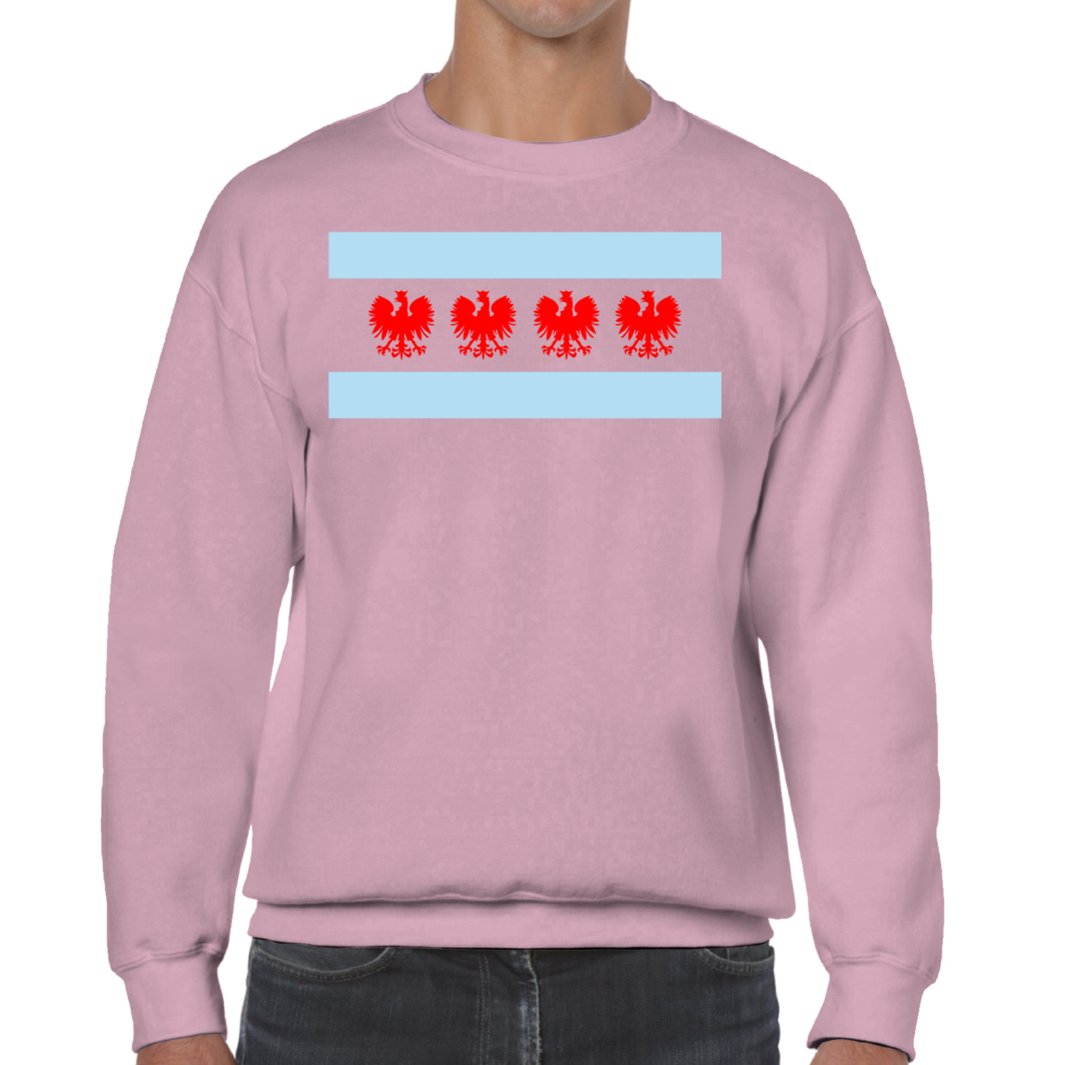 Chicago Flag Four Eagle Sweatshirt