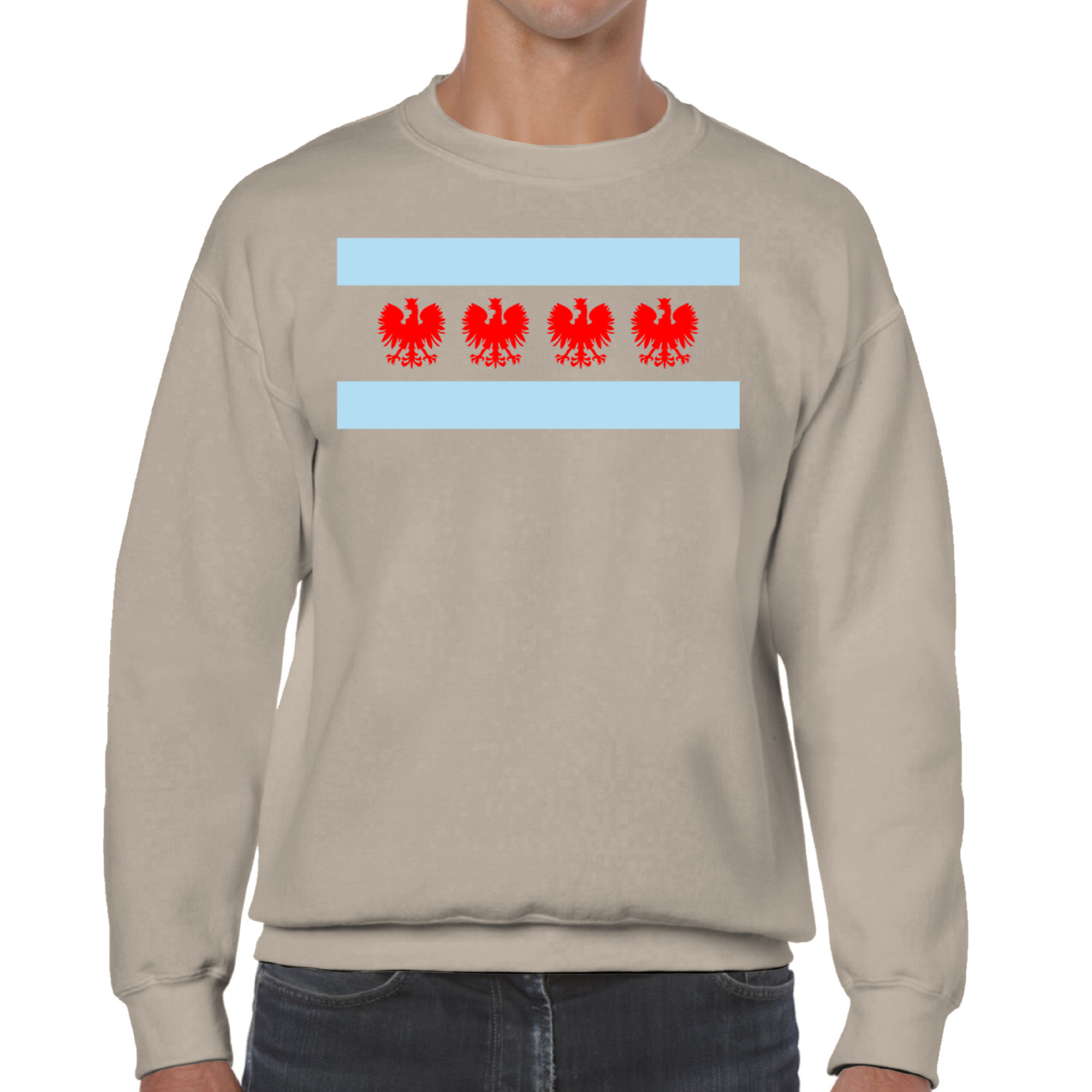 Chicago Flag Four Eagle Sweatshirt