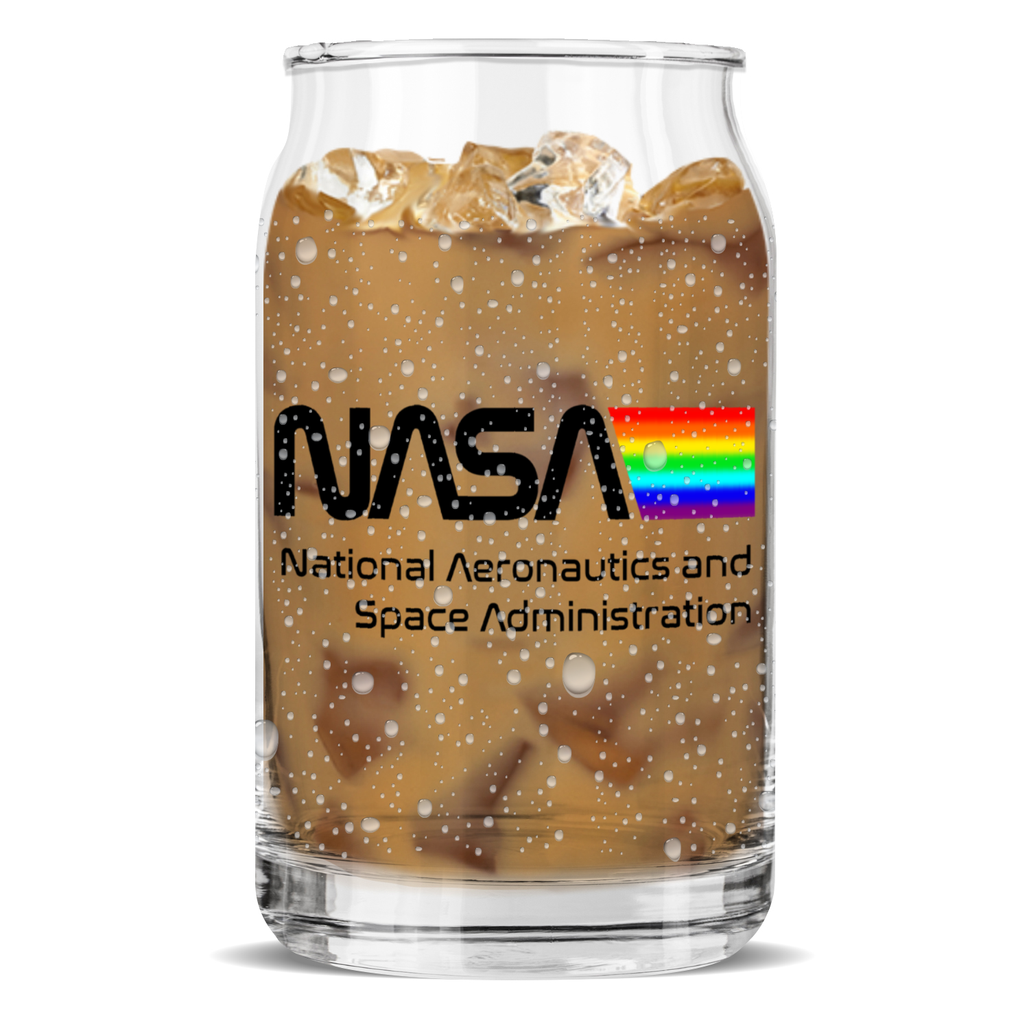 NASA Space Logo Sculptured Glass