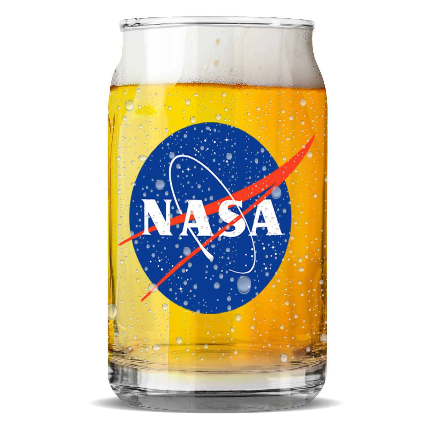 NASA Circle Logo Sculptured Glass