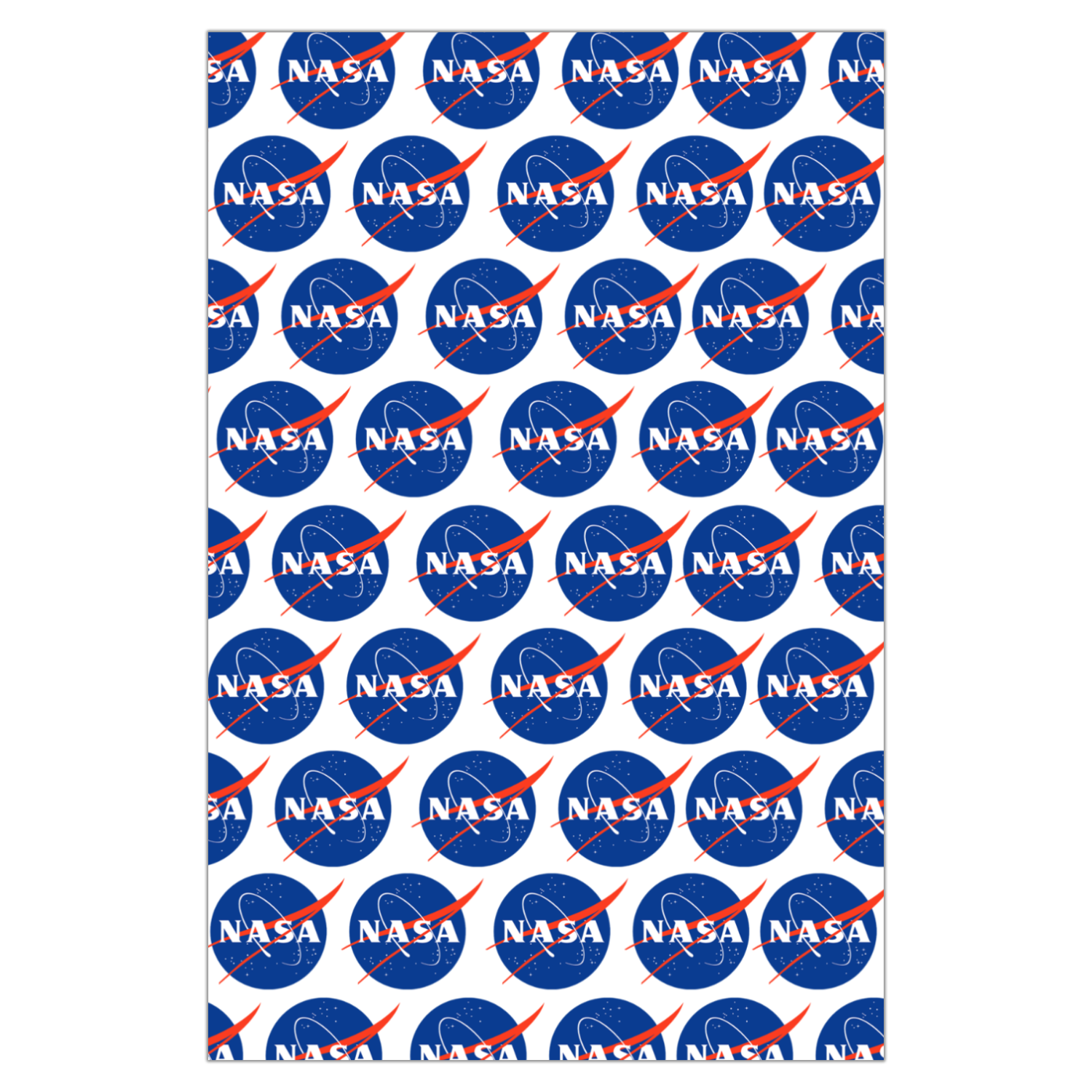 NASA Circle Logo Garde Flag