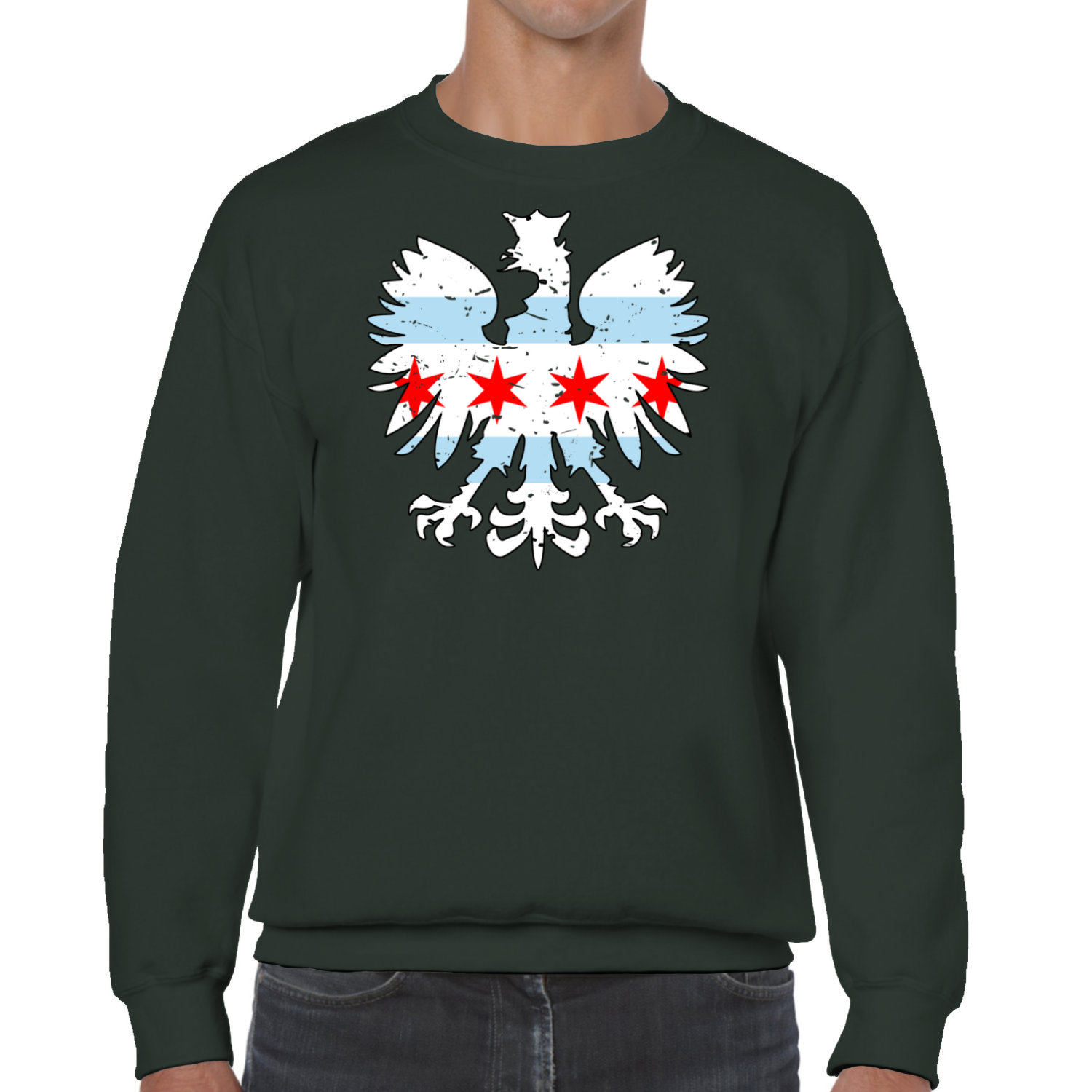 Chicago Flag Eagle Sweatshirt