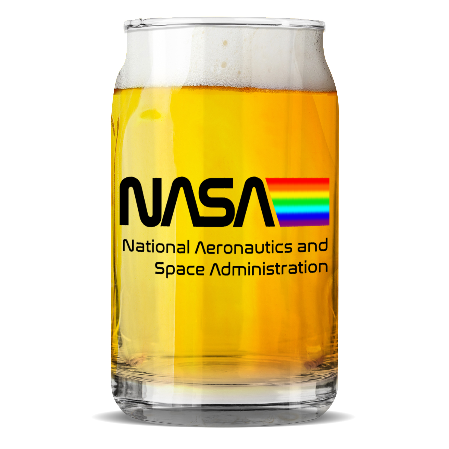 NASA Space Logo Sculptured Glass