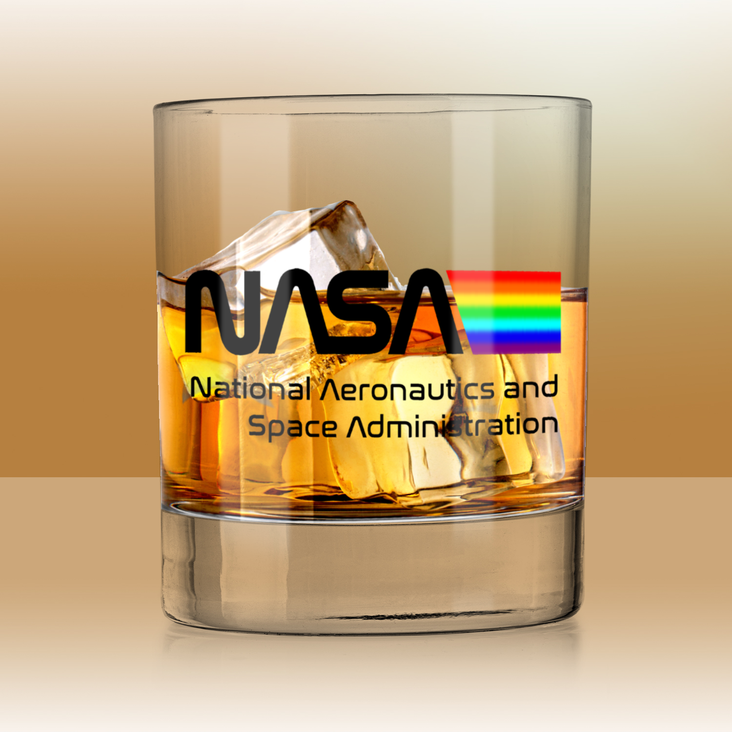 NASA Space Logo Whiskey Tumbler
