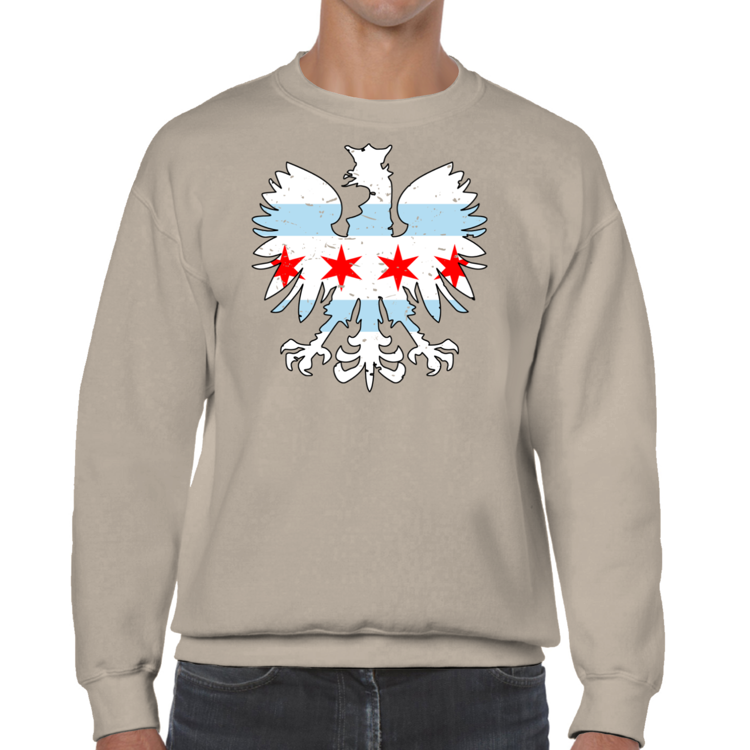 Chicago Flag Eagle Sweatshirt